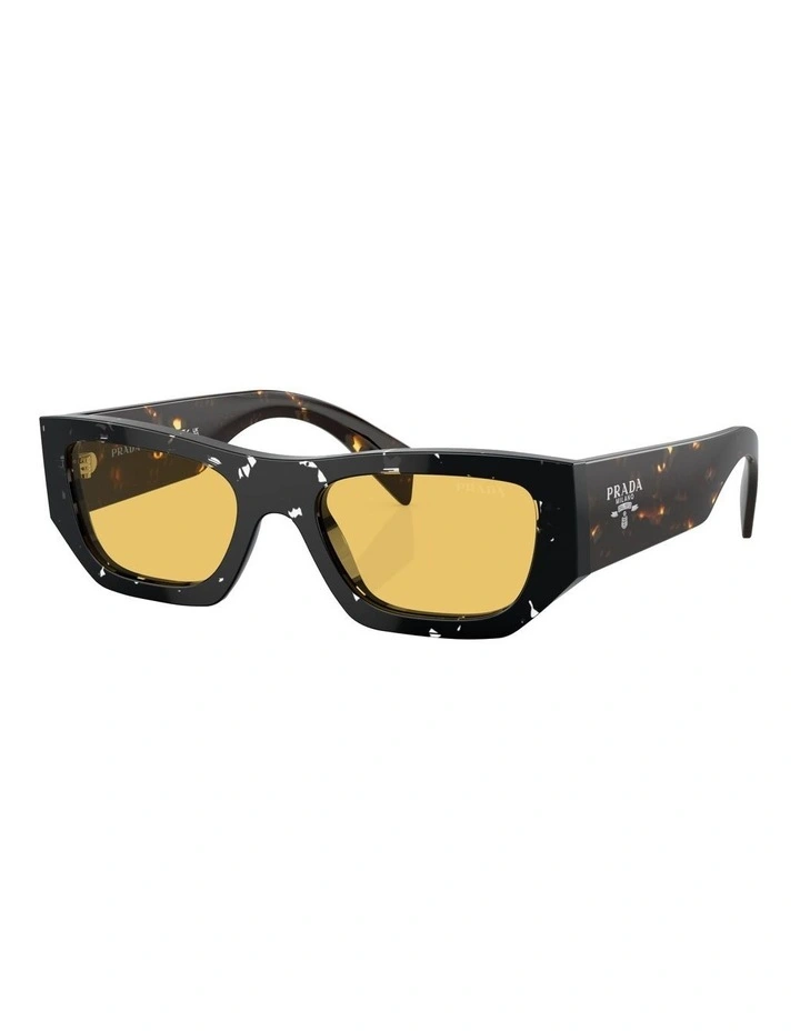 PR A01S Sunglasses in Brown
