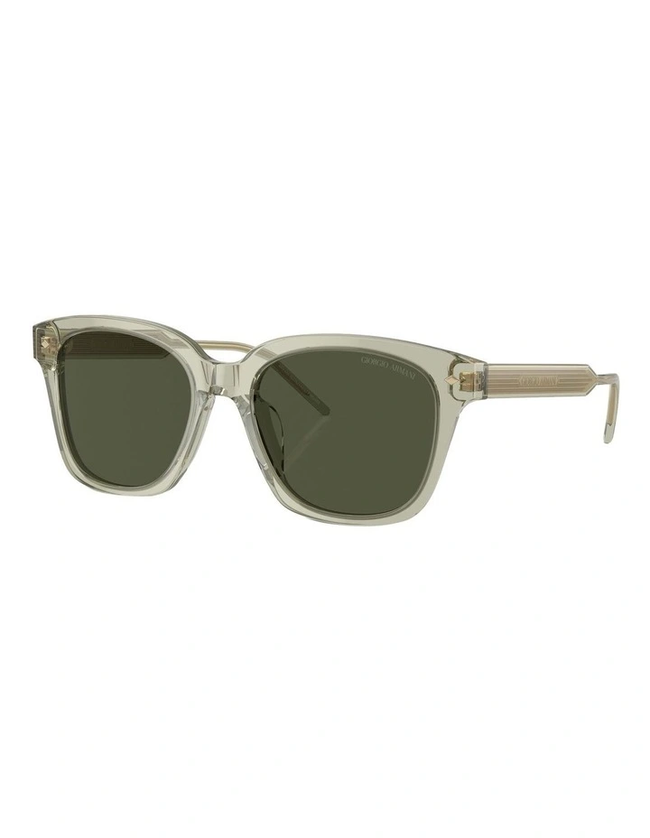 AR8210U Sunglasses in Green
