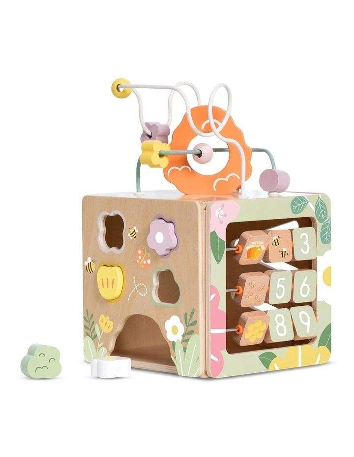 Honeybee Activity Cube
