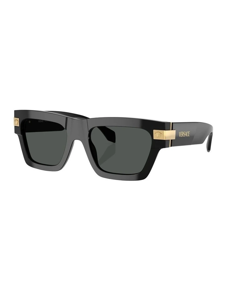 VE4464 Sunglasses in Black
