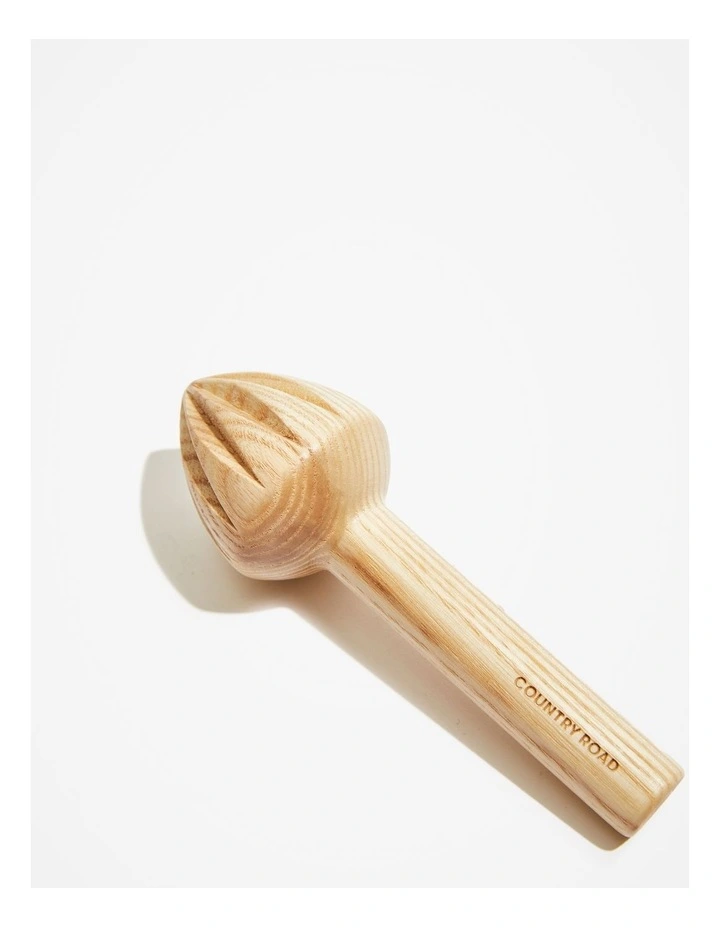 Theo Juicer in Natural