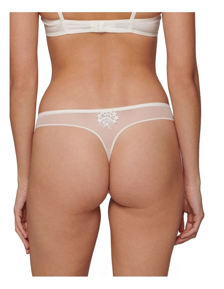 Wish Tanga in Brief