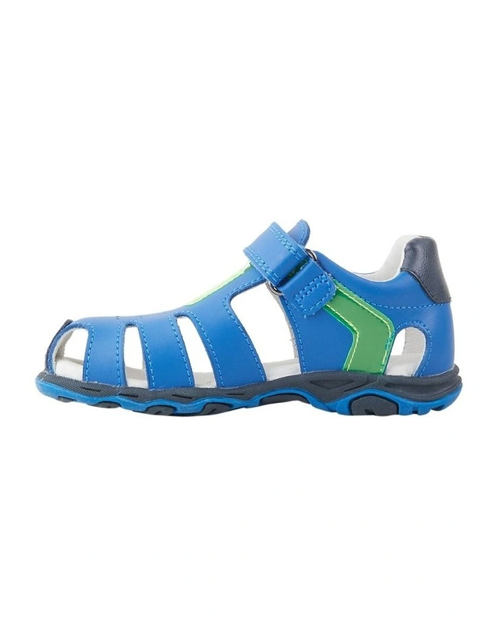 Holt Sandals in Blue