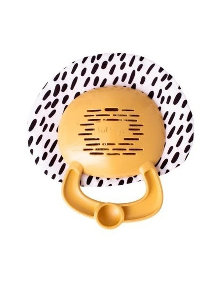 TAF Harry Lion Cymbals