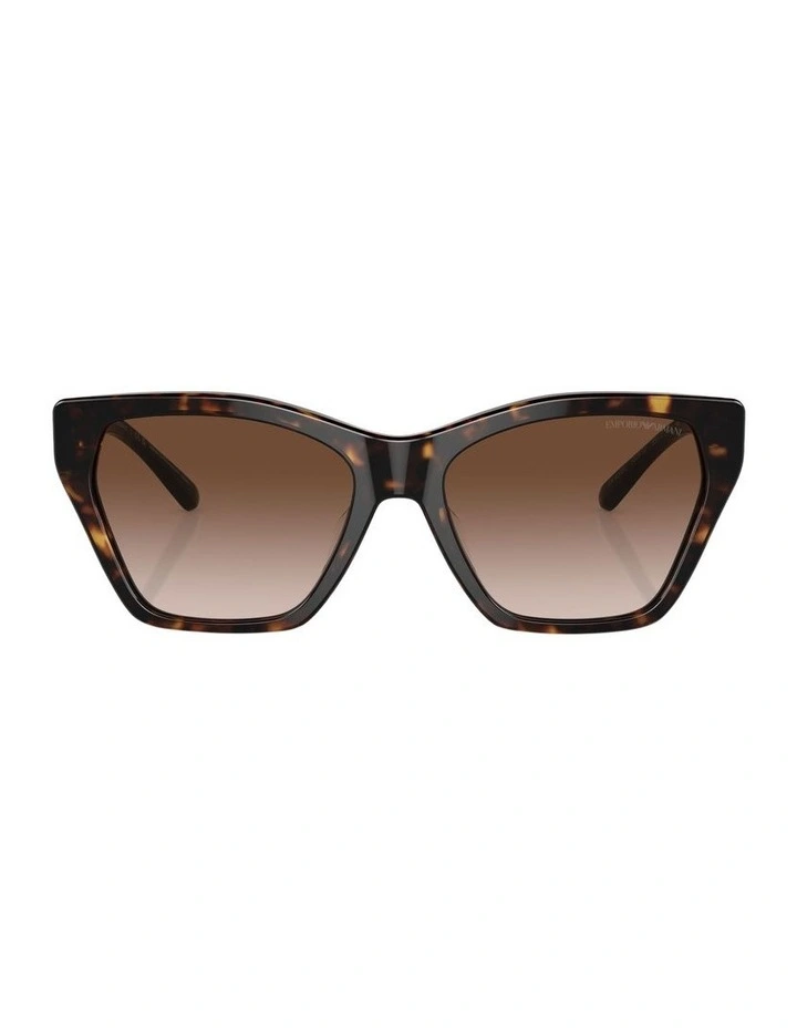 Tortoise EA4203U Sunglasses in Brown