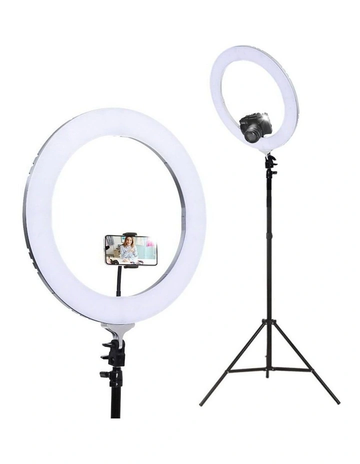 LED 19" Ring Light With Stand in Black