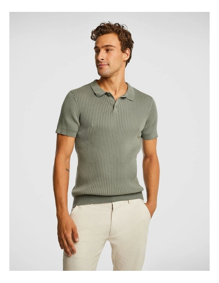 Castro Knitted Polo Shirt in Sage