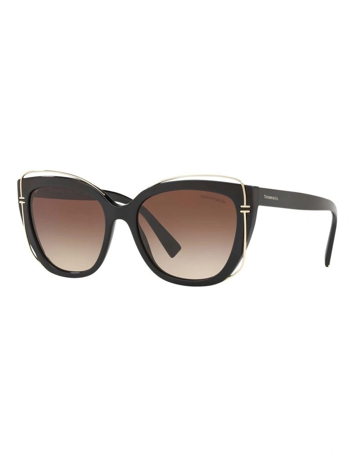 TF4148 Black Sunglasses