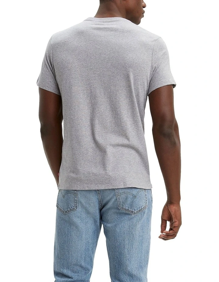 Graphic Tee in Grey