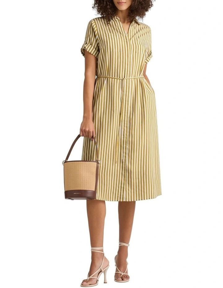 Olympia Stripe Shirt Dress in Mustard Stripe