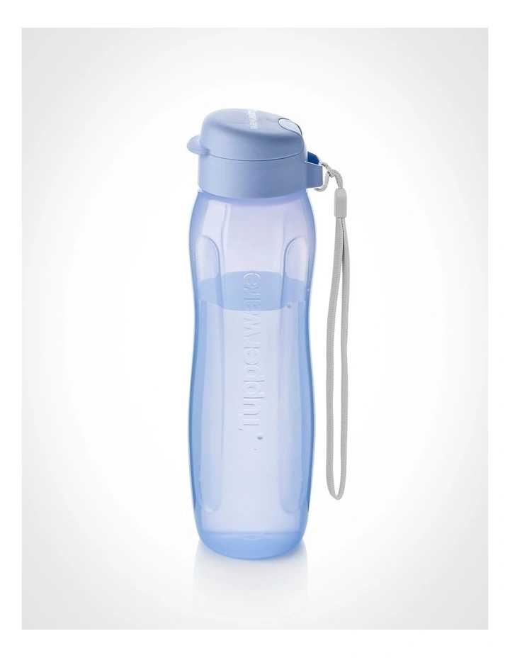 Eco Bottle Gen II 750ml in Blueberry Mist