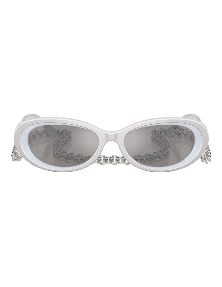 TF4221 Sunglasses in Silver