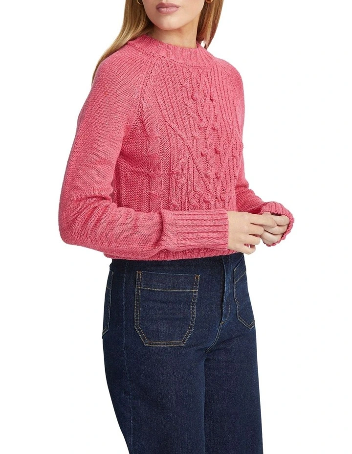 Jesse Donegal Cable Knit Top in Pink