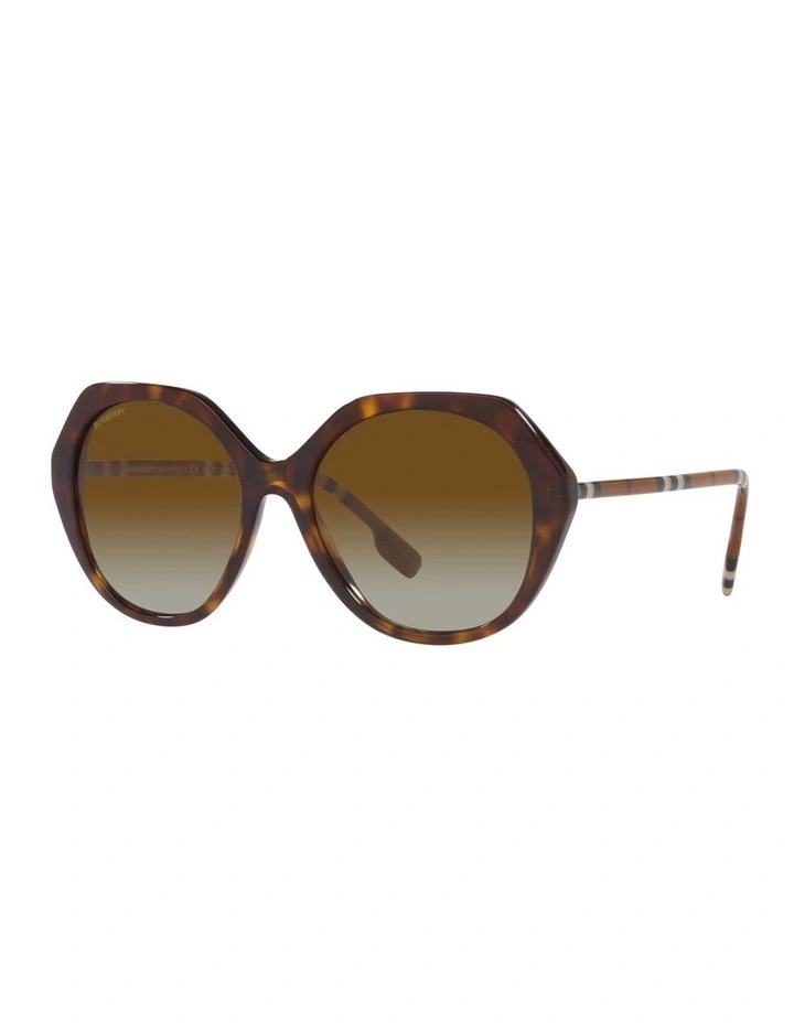 Vanessa Polarised Sunglasses in Brown