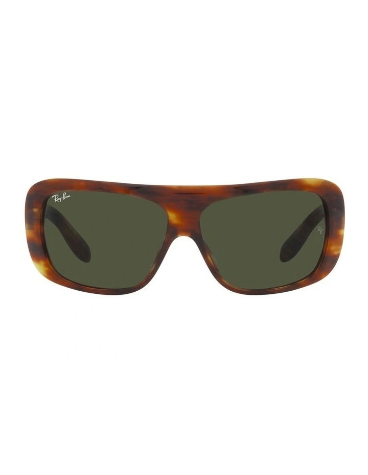 RB2196 Blair Sunglasses in Brown