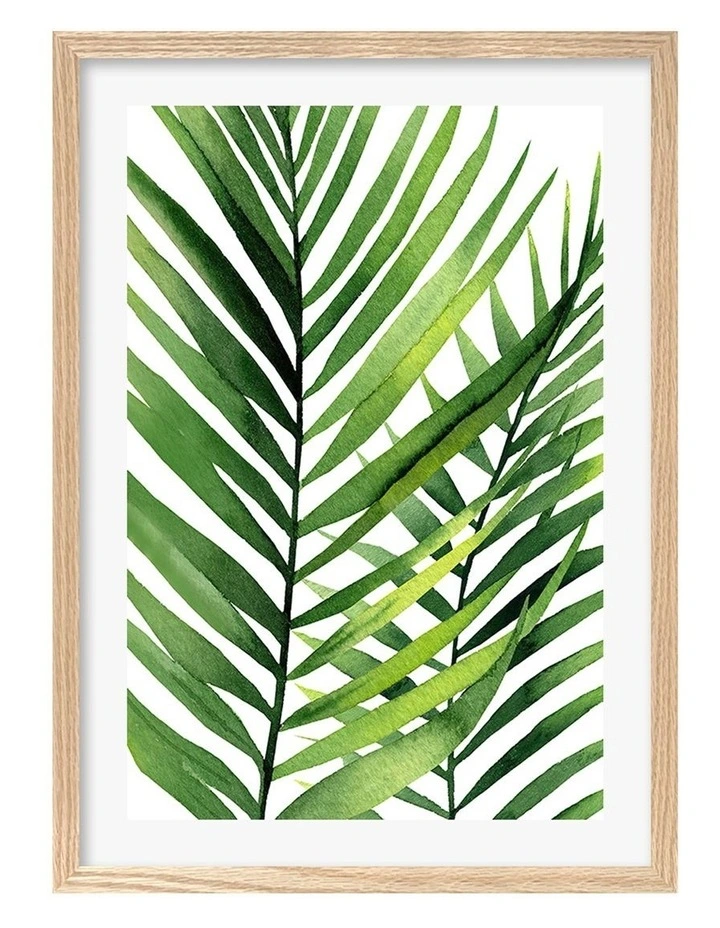 Australian Made Kentia Palm Leaves Art Print A2 in Natural Frame