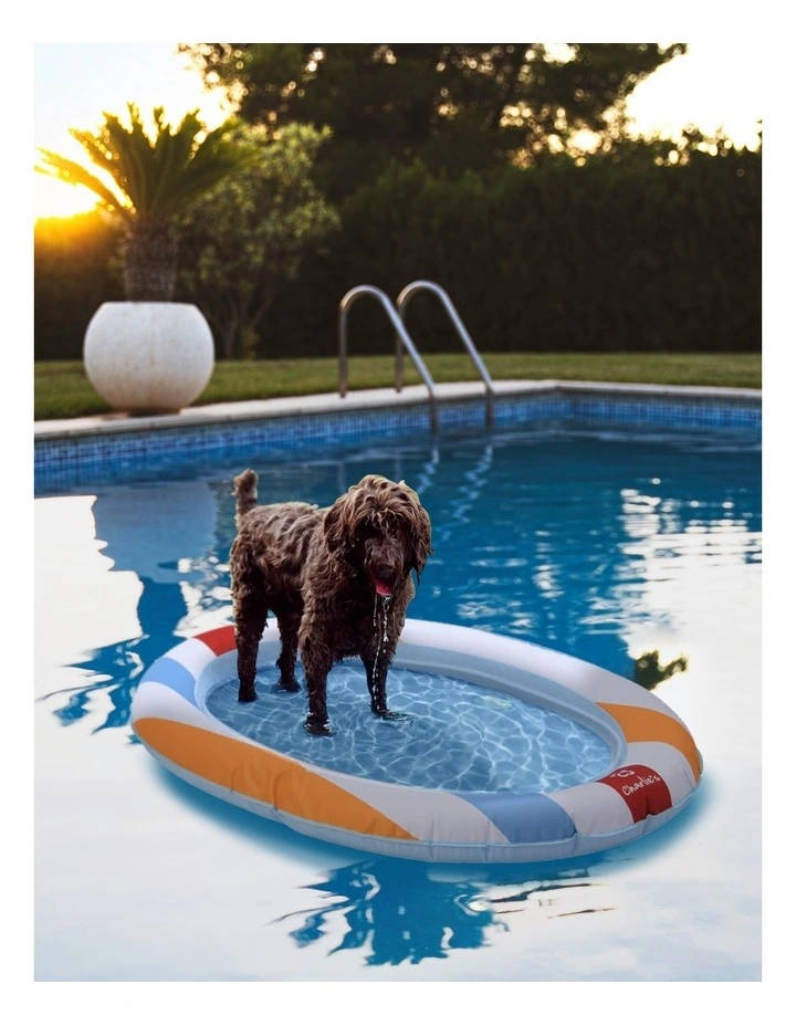 Beach Ball Pet Floatie in Two Tone