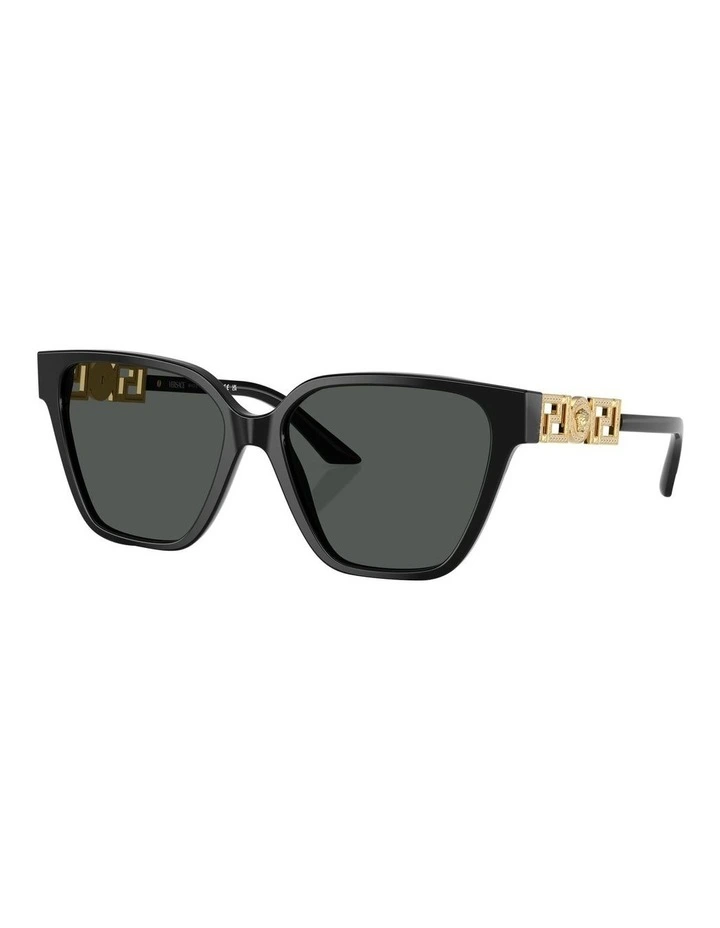 VE4471B Sunglasses in Black