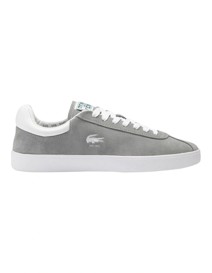 Baseshot Translucent Sole Sneakers in Grey/White