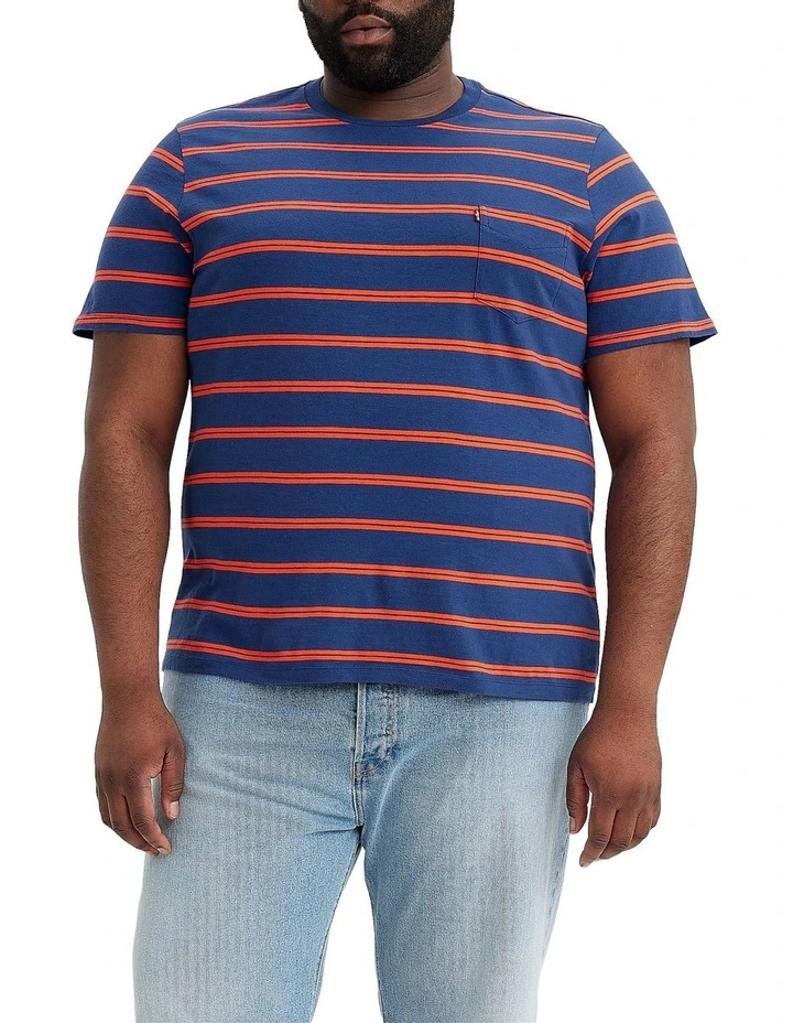 Classic Pocket T-Shirt in Kansas Stripe Sodalite