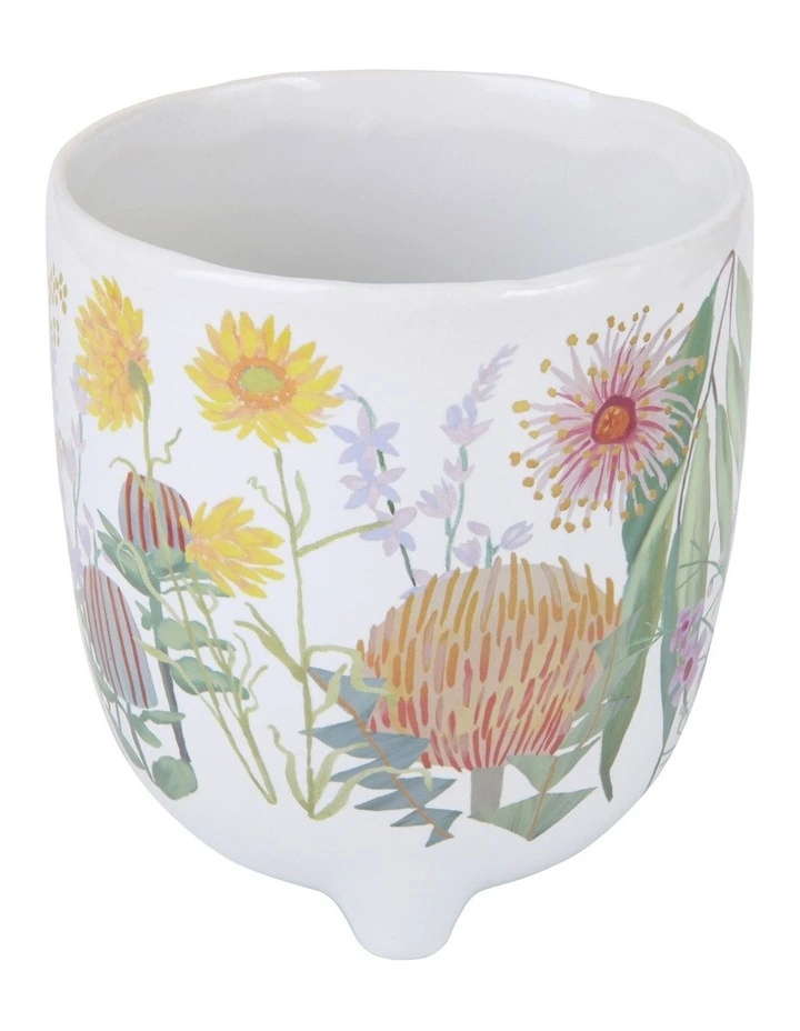 Royal Botanic Gardens Native Blooms Plant Pot 10cm in Multi