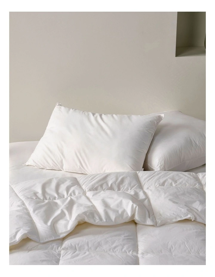 All Seasons Standard Pillow in White