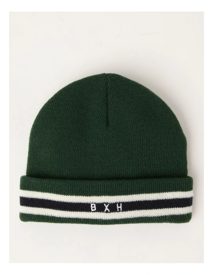 Stripe Logo Beanie in Green
