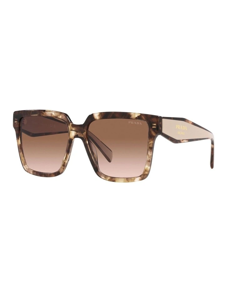 PR 24ZS Tortoise Sunglasses in Brown