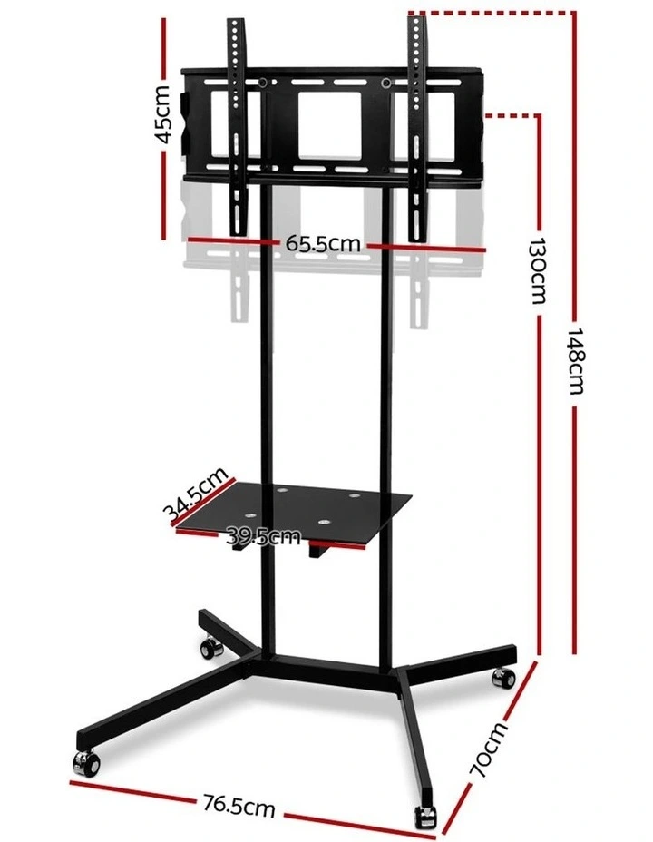 TV Mount on Stand