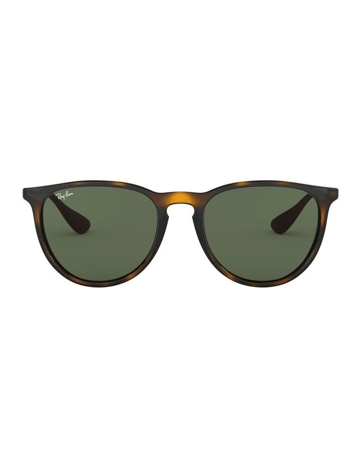 Erika Brown RB4171 Sunglasses