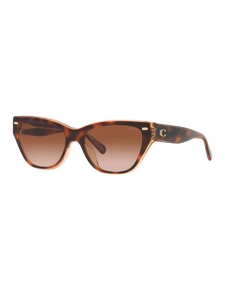 CH570 Sunglasses in Tortoise