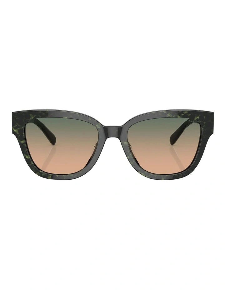 CL920 Sunglasses in Green