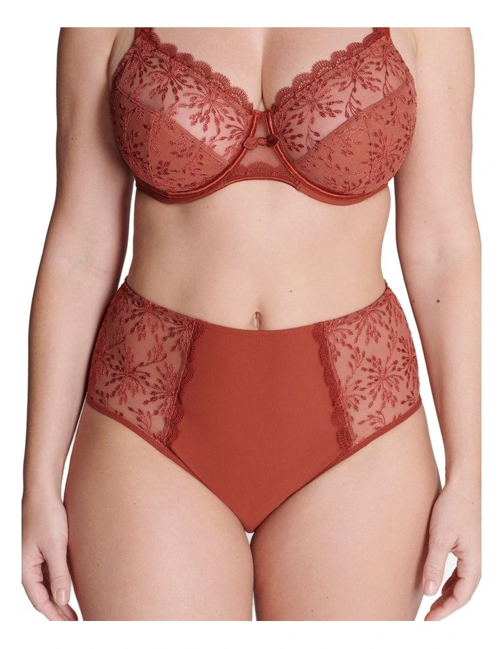 Singuliere Culotte Brief in Sienna