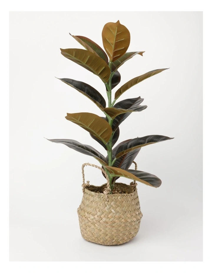 Rubber Tree Artificial Plant in Woven Basket 58cm in Natural