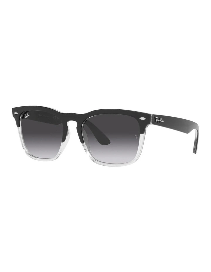 STEVE Sunglasses In Black