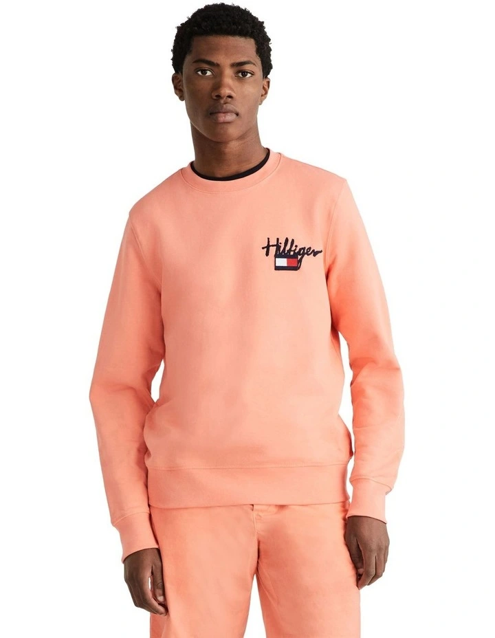 Painted Graphic Crew Sweat Top in Peach