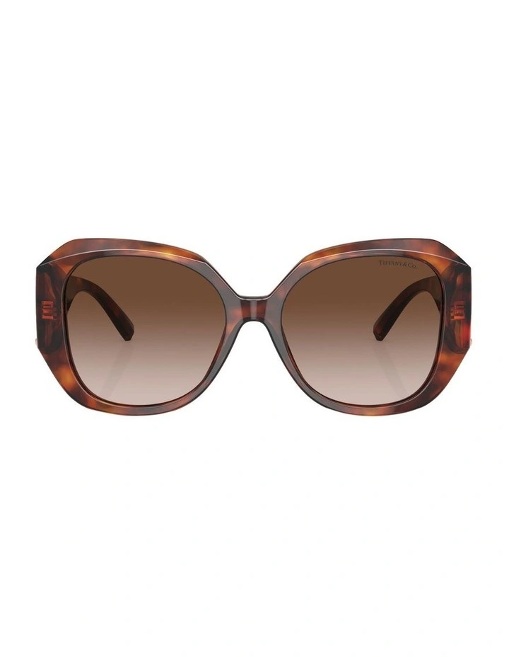Tortoise TF4207B Sunglass in Brown