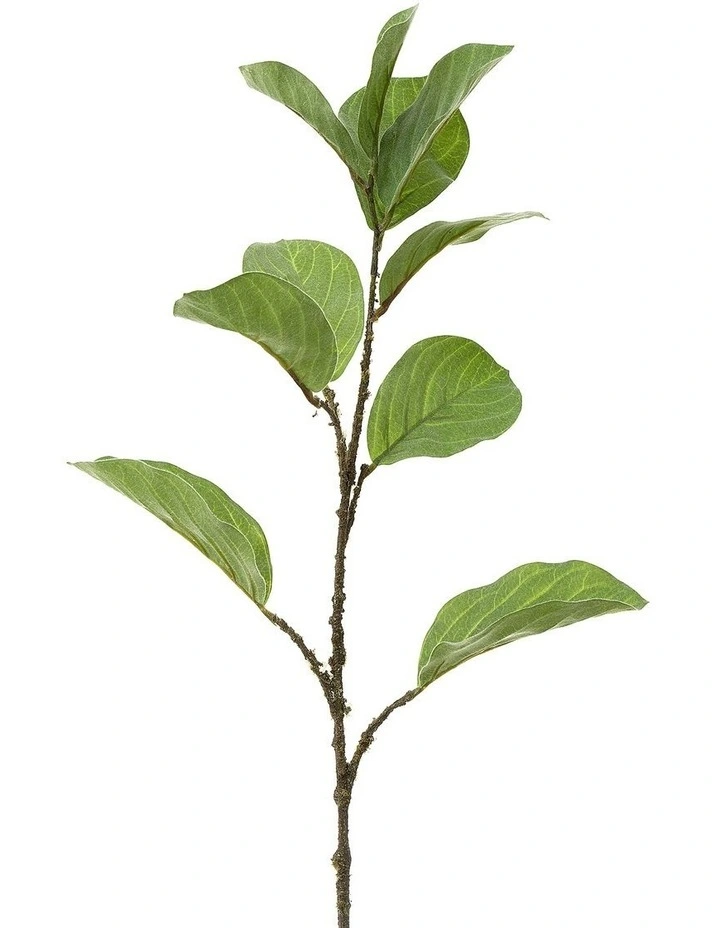 Leaf Ficus Spray 86cm in Green