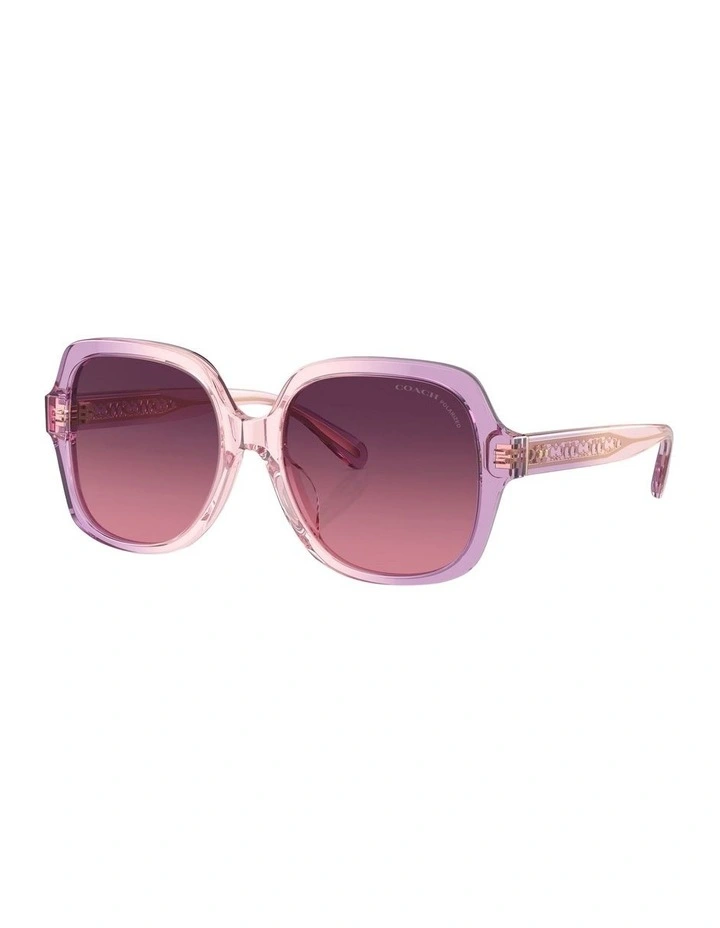 CR614 Polarised Sunglasses in Violet
