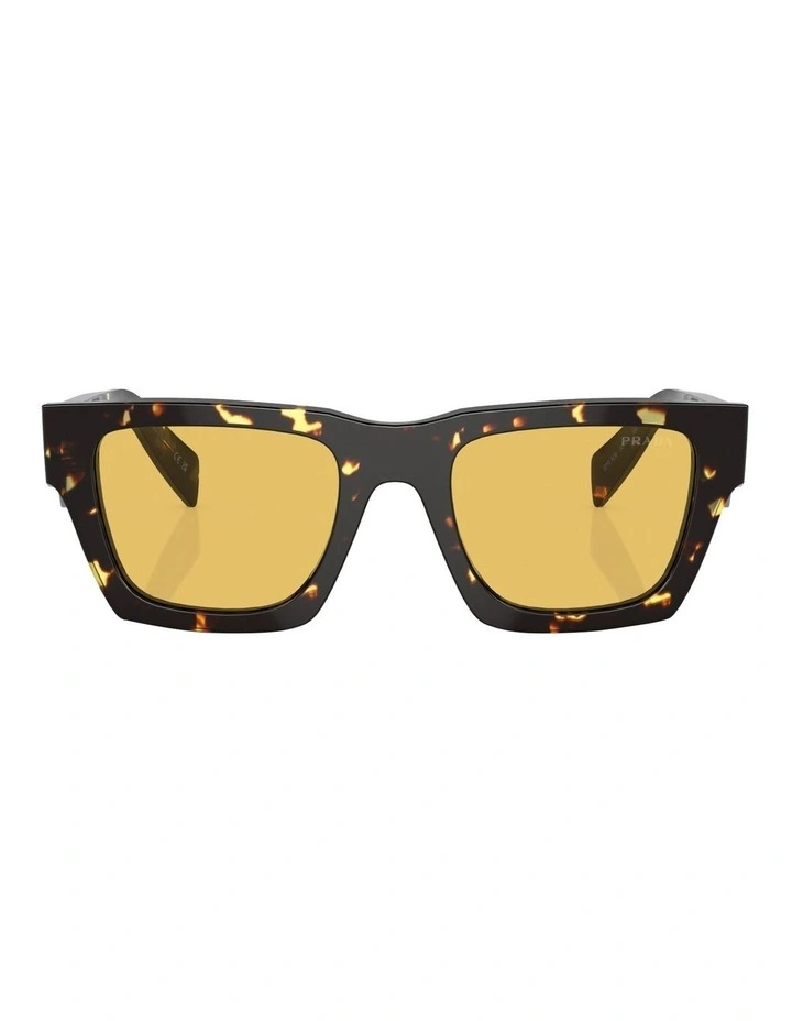 PR A06S Sunglasses in Brown