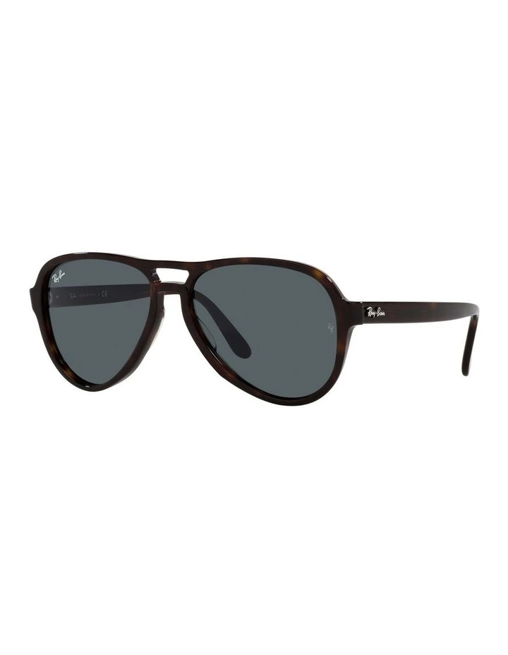 Vagabond Brown RB4355 Sunglasses