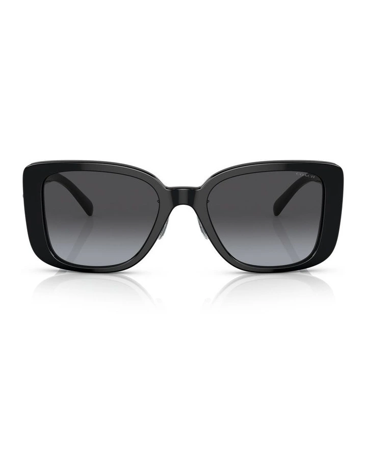 CD472 Sunglasses in Black