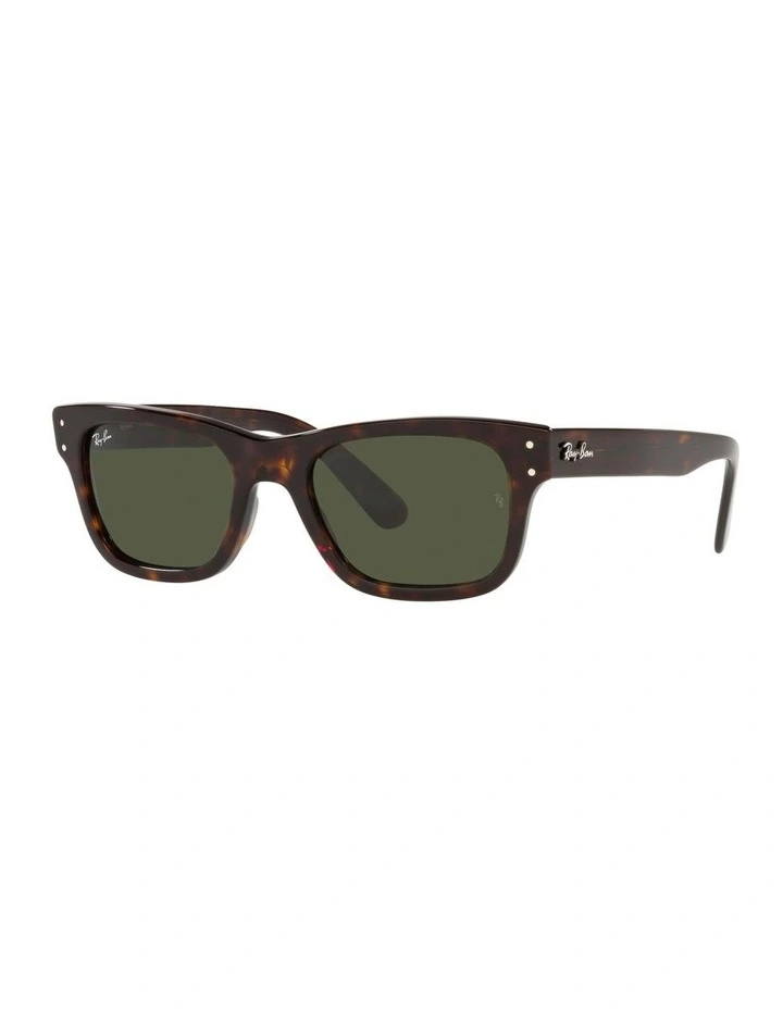 Burbank Tortoise RB2283F Sunglasses