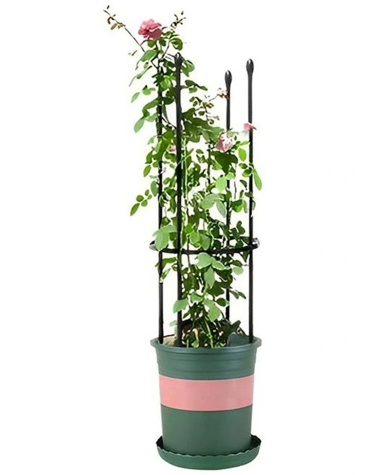 4-Bar Plant Frame Stand With Rings 73cm in Black