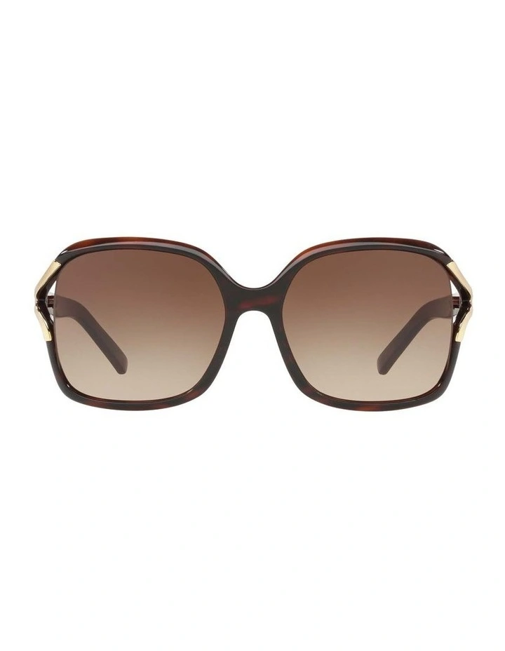 HU2002 Brown Sunglasses