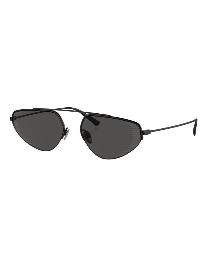 FH1010TD Sunglasses in Black