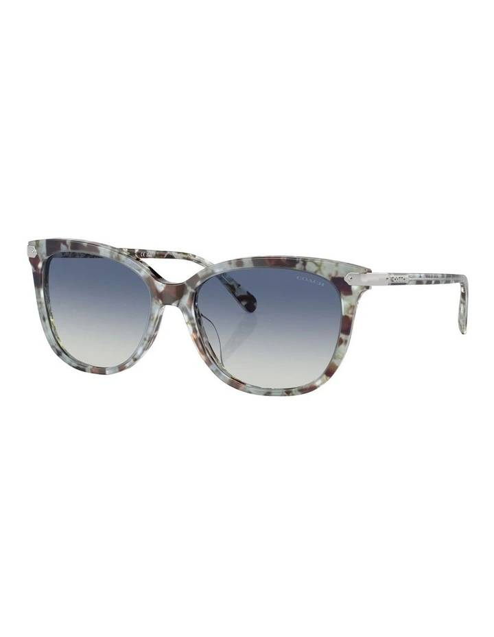 CL926 Sunglasses in Green