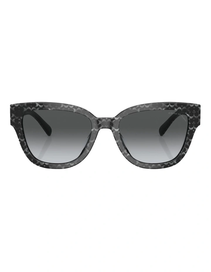 Polarised CL920 Sunglasses in Grey