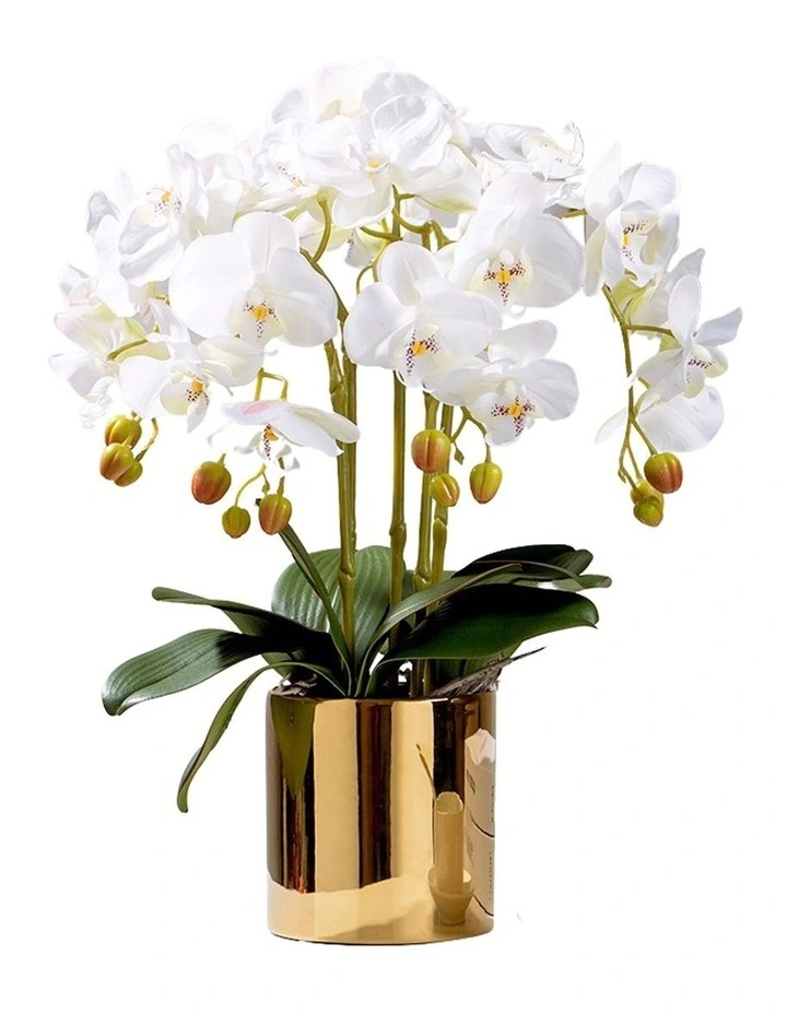 Real Touch 5 Stems White Orchids Arrangement