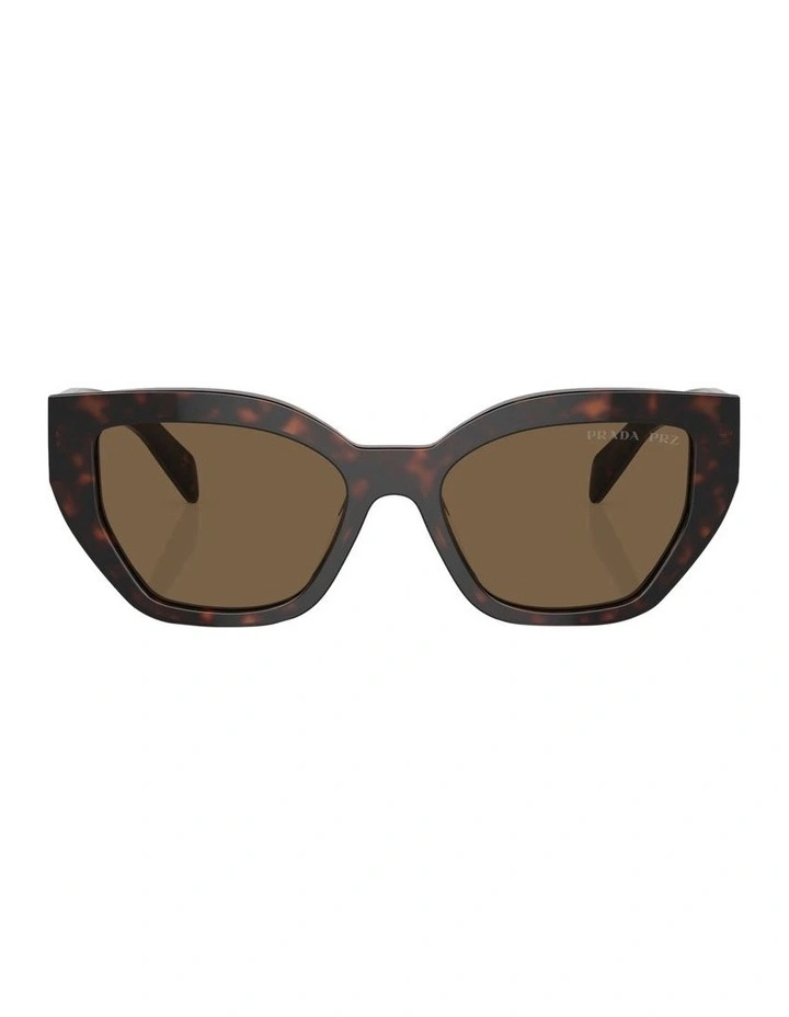 PR A09S Sunglasses in Brown